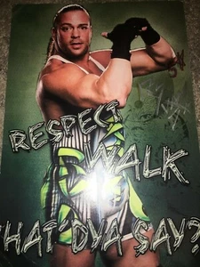 9X10 GRÜN SIGNIERTES ROB VAN DAM FOTO  - Bild 1 von 2