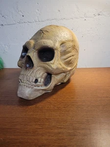 Vintage Skull Head Halloween Horror approx 7 inches Good condition - Picture 1 of 2