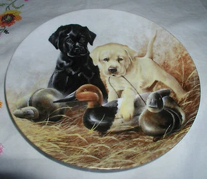 "A PERFECT SET-LABRADOR RETRIEVERS" PLATE COA  - Picture 1 of 5