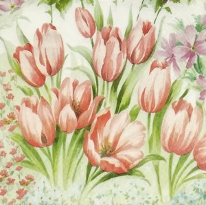 Q036# 3 servilletas de papel individuales decoupage pastel rojo tulipán fower patrón de campo - Imagen 1 de 9
