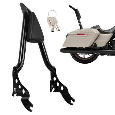 Respaldo personalizado barra Sissy compatible con Harley Road King FLHR/Electra Glide 2009-2024 Foto 1 de 4