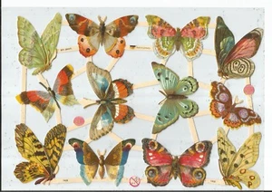 German SILVER GLITTER Scrap Die Cut - Bold Colored Butterfly Moths  EF7408G - Picture 1 of 1