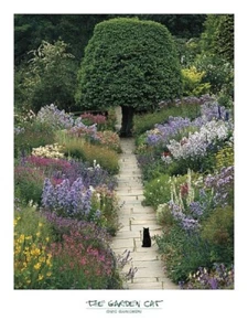The Garden Cat by G. Gawloski Feline Heaven Photograph Art Print 18x24 Inches - Picture 1 of 1