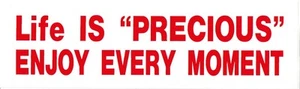 54776 - Bumper Sticker - Life Is Precious - Picture 1 of 1