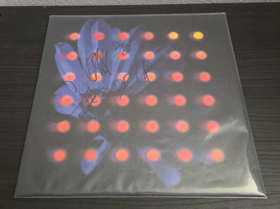 ANBERLIN Nevertake SIGNED Vinyl LP Autographed Grey Marble [SHIPS NOW!] 🆕 ✅  - Imagem 1 de 1