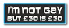 Funny Novelty I'M NOT GAY BUT £30 IS £30 ! vinyl car bumper truck sticker Decal