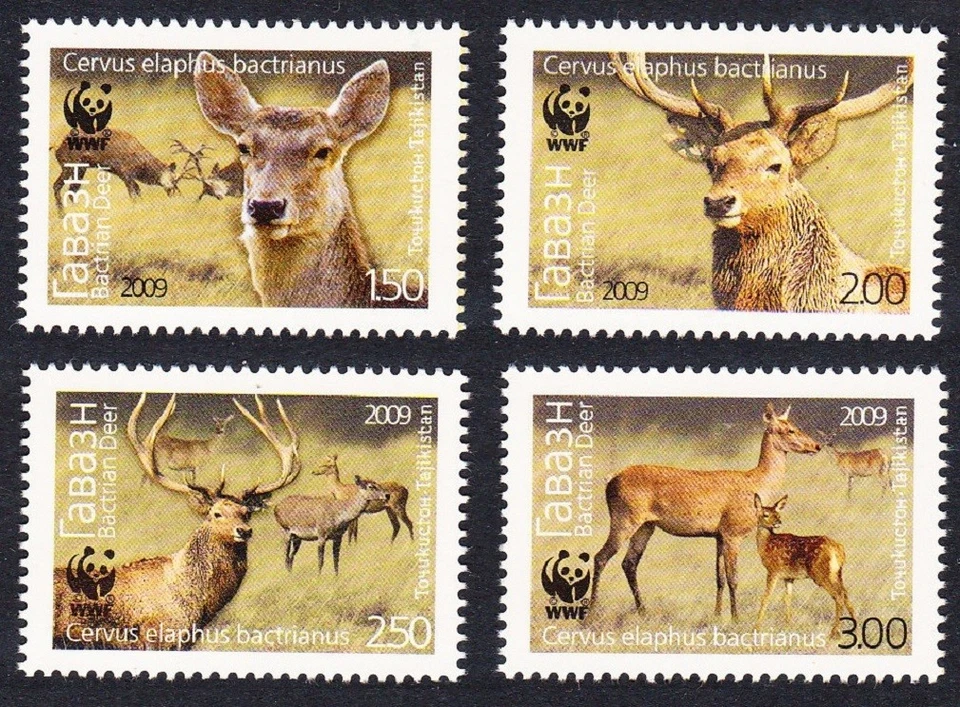 Ciervo bactriano de Tayikistán WWF 4v 2009 MNH Sc#344-347 SG#388-391 MI#527-530 Foto 1 de 1