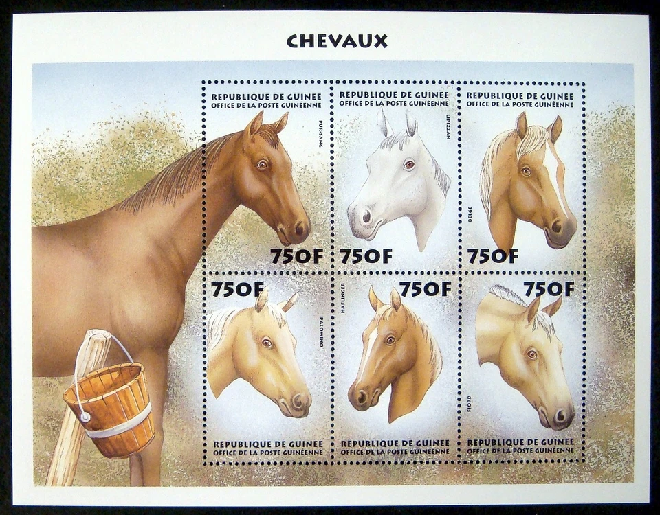 GUINEA HORSE STAMPS SHEET MNH 1999 EQUESTRIAN PALOMINO HAFLINGER BELGIAN HORSES - Image 1 of 1
