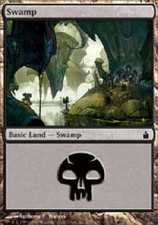 SWAMP #297 Ravnica MTG Magic the Gathering Cards DJMagic