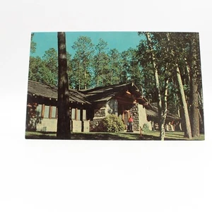 Forest Inn Itasca State Park Minnesota MN Postcard UNP VTG Dexter Unused Vintage - Picture 1 of 2