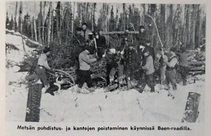 Finnish American Horizons Finland migrants biographies culture people 1976 HC - Picture 1 of 8