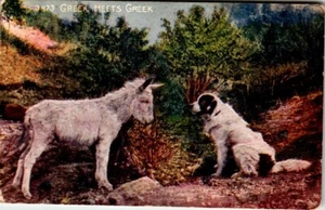 Postkarte mit geteilter Rückseite "Griechisch trifft Grieche" Burro Hund UNP - Bild 1 von 2