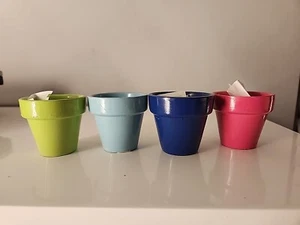 Buzzy Seeds 4 Small & Seeds - Picture 1 of 20