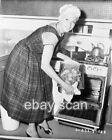 JAYNE MANSFIELD  COOKS UP A MEAL KITCHEN   8X10 PHOTO 80