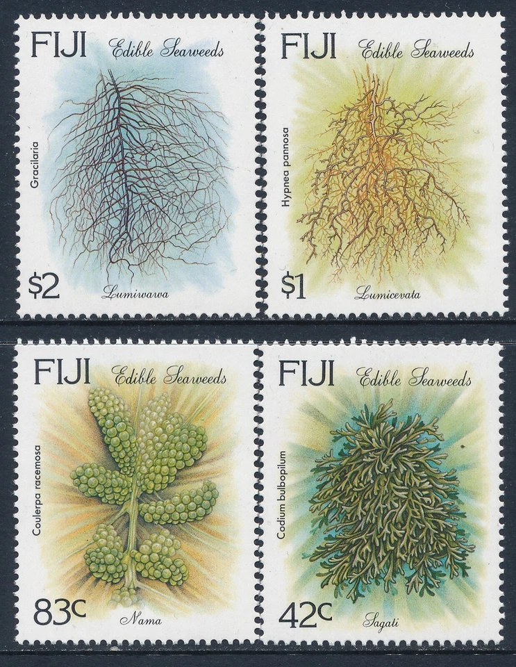 1994 CONJUNTO DE 4 ALGAS COMESTÍVEIS FIJI EM PERFEITO ESTADO, SEM MARCA DE CHARNEIRA - Imagem 1 de 1