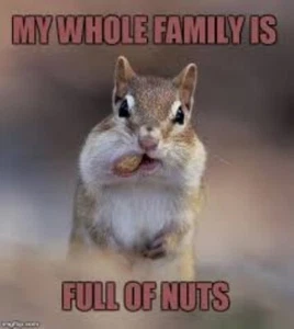 Funny Squirrel refrigerator magnet 3 1/ 2x 3 1/2 - Picture 1 of 1