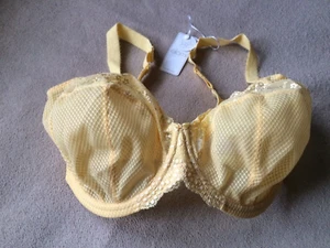 Elomi 34M (J) Lemon Fizz Charley Stretch Lace Underwire Plunge Bra Style4382 NWT - Picture 1 of 7