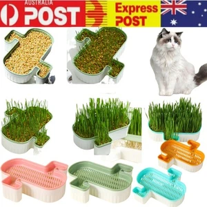 Cat Grass Cultivation Kit Catnip Planting Box Cat Grass Growing Box - Picture 1 of 17