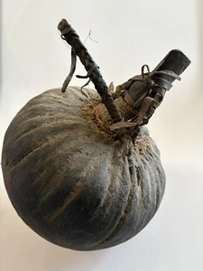 ANTIKER PRIMITIVER KENIANISCHER TURKANA AKATOM KÜRBIS - SELTENER FUND - Bild 1 von 11