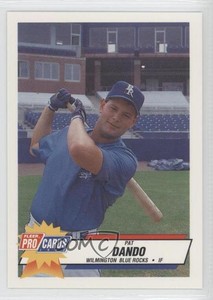 1993 Fleer ProCards Minor League Pat Dando #2003