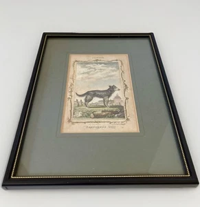 18th Century Engraving ( 1726-1809 ) Andrew Bell  Shepherds  Dog Aquatint - Picture 1 of 5