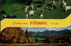 Greetings From Paterson,NJ Passaic County New Jersey Postcard - Picture 1 of 2