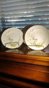 four noritake ireland 6.5" bread and butter plates edenderry pattern - Picture 1 of 3