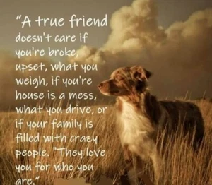 Inspirational dog refrigerator magnet 3 1/2 x 4 1/2" - Picture 1 of 1