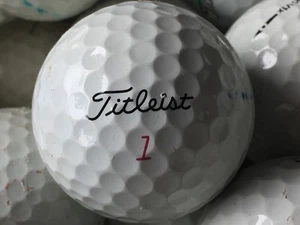 100 pelotas de golf Titleist Pro V1x usadas Pro V1 X - 2A/3A grados AA/AAA valor peludo - Imagen 1 de 6