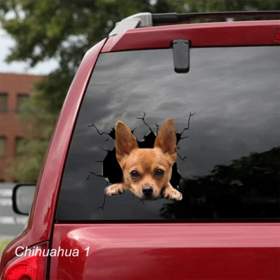 LARGE-SIZED CAR DECALS - CHIHUAHUA - 2 CHOICES - Image 1 of 3