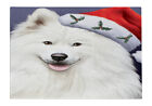 Samoyed Dog Cutting Board Tempered Glass Personalized Custom Christmas NWT