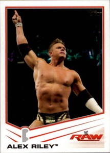2013 Topps WWE Wrestling Base Singles (Pick Your Cards)