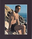 8 x 10 pouces imprimé mat photo homme acteur sans chemise photo de célébrité : Mark Damon