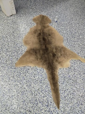 Alfombra suave de piel de canguro curtida australiana genuina, piel de 65" OAL Foto 1 de 4