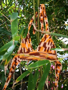 Top en crochet marron beige et orange style maillot de bain Taille M TBE - Picture 1 of 7