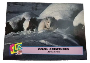 Tarjeta coleccionable Club Pro Set Cool Creatures #4 Arctic Fox 1992 animales (G9 - Imagen 1 de 2