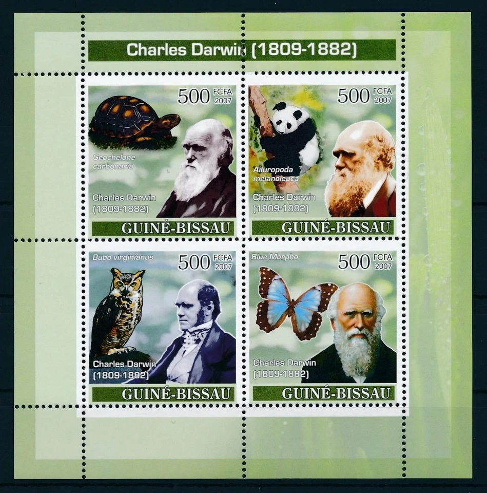 [96489] Guinea Bissau 2007 Wild life Panda turtle owl Charles Darwin Sheet MNH — 第 1/1 张图片