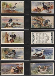 Full Set, Players, Game Birds and Wild Fowl 1927 G-VG - Picture 1 of 1