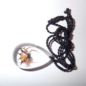 Insect Acrylic Oval Necklace Spiny Spider Specimen SD07 Clear 1 piece Lot - Picture 1 of 10