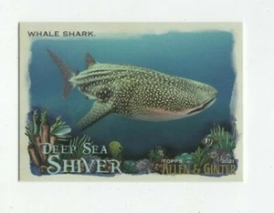 2021 TOPPS ALLEN & GINTER DEEP WHALE SHARK #DSS-9 - Picture 1 of 6