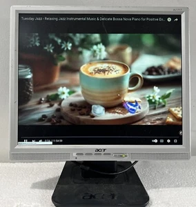 Acer AL1717A LCD Monitor - Imagen 1 de 8