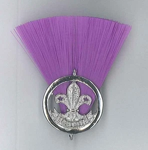 Scouts of Togo - Extinto 1ª Edición COMISIONADO EXPLORADOR Pluma de Metal/Parche de Sombrero - Imagen 1 de 1