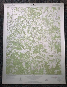 Mapa TOPOGRÁFICO Cub Run Kentucky KY Cuadrángulo 1954 Color Mapa Vintage #1 - Imagen 1 de 1