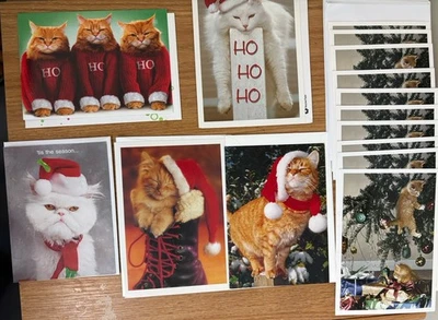 Cartões de Natal gato gatinho laranja gato branco em chapéus suéteres e árvore sortidos 15 - Imagem 1 de 4