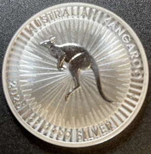 2025 1 oz .9999 Troy Oz Fine Silver Australian Kangaroo $1 Silver Coin (BU) - Picture 1 of 13