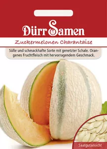 Zuckermelone Charantaise Samen von Dürr Samen Melonensamen für den Garten - Bild 1 von 1