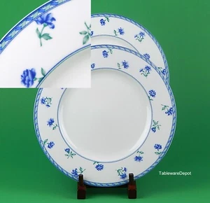 Mikasa BLUE MEDLEY, Set of 2 Dinner Plates, SUPERB Condition! Ultima+, HK243 - Picture 1 of 3