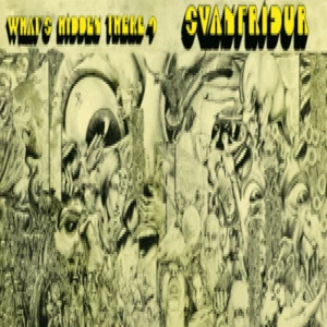 SVANFRIDUR-What's Hidden There-Iceland '72 prog rock-NEW CD - Imagen 1 de 1