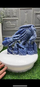 5.85LB  Natural Blue-veins stone Quartz Carved Eagle Skull Crystal Decor decor - Picture 1 of 6