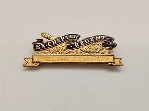 DAR Ex Chapter Regent Clay County Pin Gold Filled - Picture 1 of 6